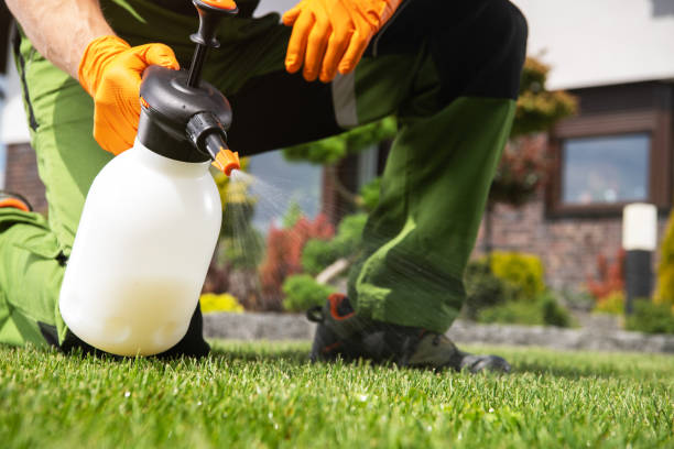 Pest Prevention Services in Cos Co, CT