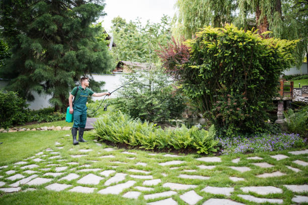 Best Pest Inspection Near Me  in Cos Co, CT