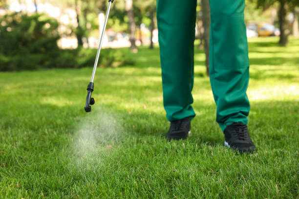 Best Emergency Pest Control  in Cos Co, CT