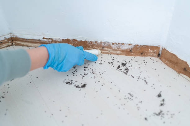 Best Affordable Pest Control Services  in Cos Co, CT
