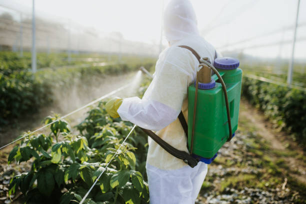 Reliable Cos Co, CT Pest Control Solutions